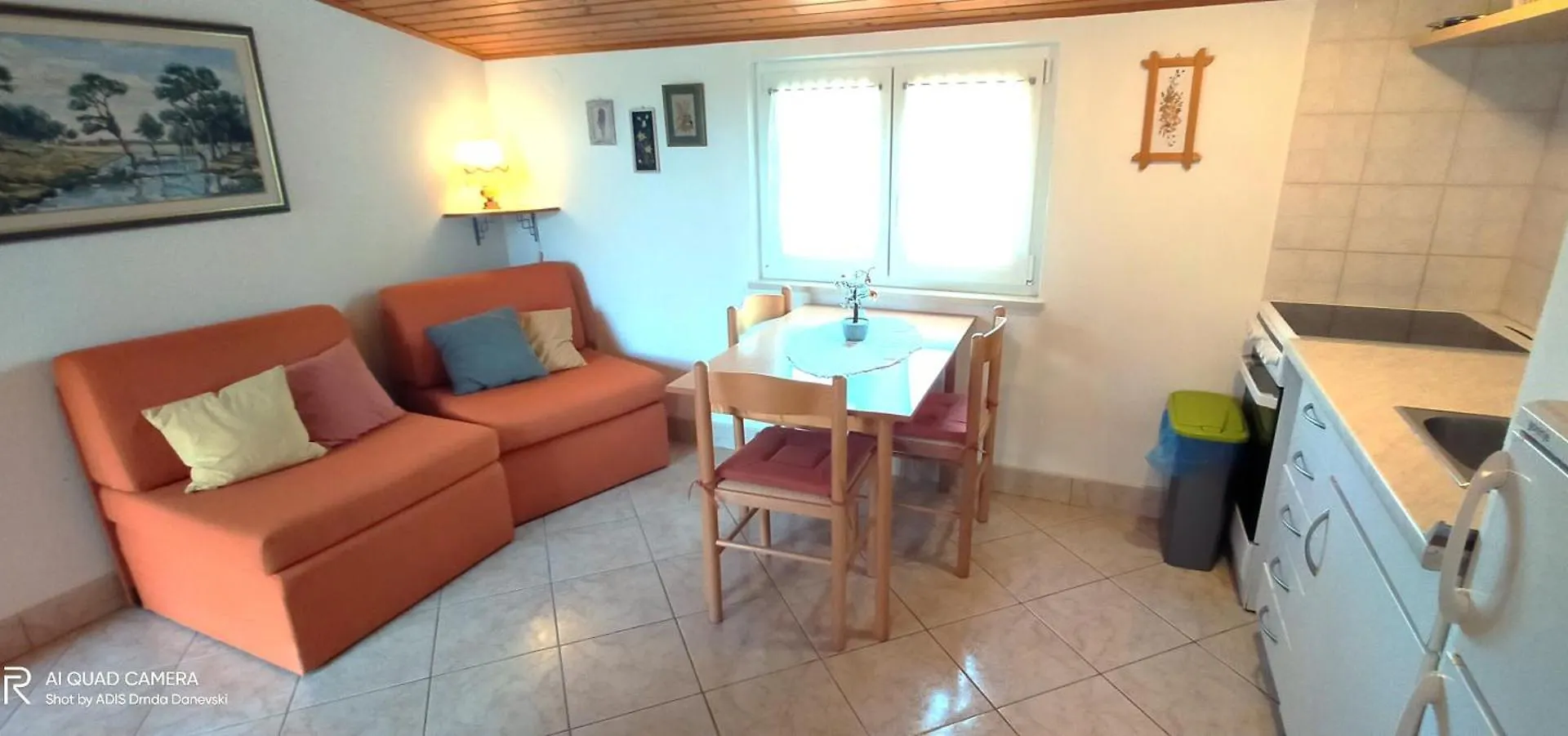 Apartment Apartmani Nina Sisan